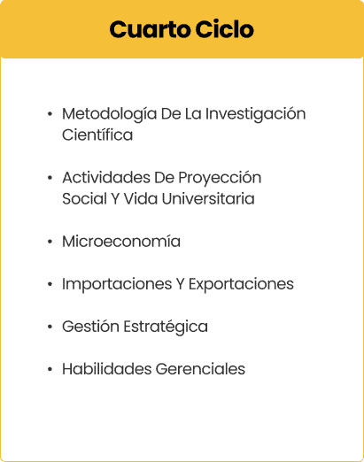 Cuarto Ciclo