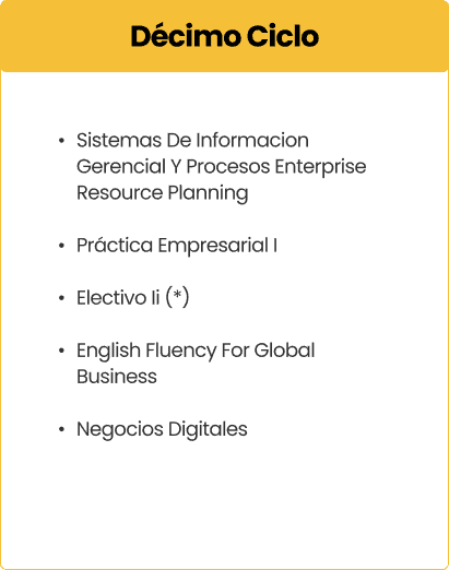 Decimo Ciclo