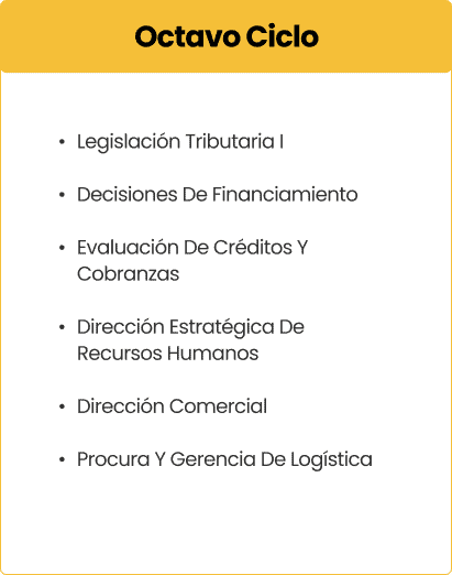 Octavo Ciclo