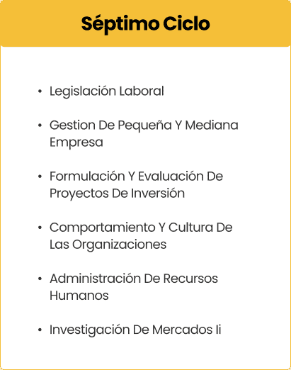 Septimo ciclo
